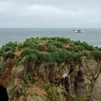 Птичий замок :: Владимир Соколов (svladmir)