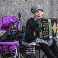 "Чайка" :: Александр 