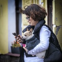 Что пишут? :: Александр 