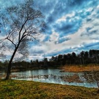 Хоть не причина для печали, но  снег нам завтра обещали... :: veilins veilins