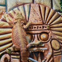 Бородатая Агама :: Александр Леонов