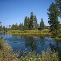 Река Дешут в американском штате Орегон. :: unix (Илья Утропов)