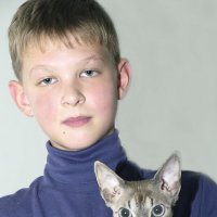 Юный кошколюб :: Светлана Ищенко