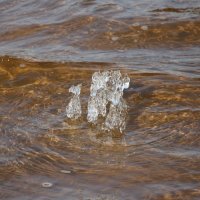 Льдинка :: Наталья Герасимова