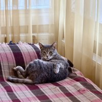 Живой музейный экспонат) :: Любовь 