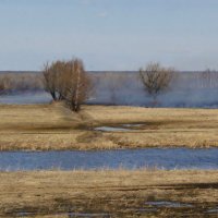 Апрельский пал. :: сергей ермошкин