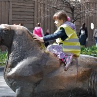 Наездница. :: Валерий Пославский