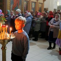 В золотых лучах :: Владимир Хиль