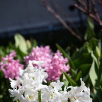 *** :: Геннадий Порохов