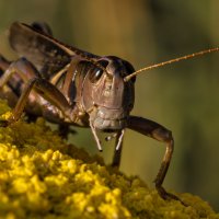 ... :: Николай Бабухин