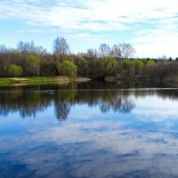 Утонули облака в озёрной глади. :: Милешкин Владимир Алексеевич 