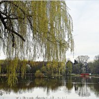 Весна. :: Валерия Комова