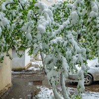 19 Апреля 2017 года город Белгород ... :: Ravile 