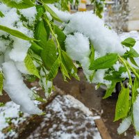 19 Апреля 2017 года город Белгород ... :: Ravile 