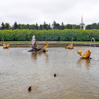 Поплавки :-) :: VasiLina *