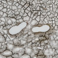 ПОЗИШН НАМБЕР - HOW? :: Юрий Вовк