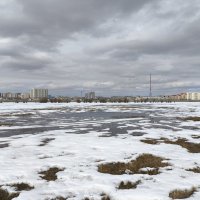 Весна :: Anna Ivanova