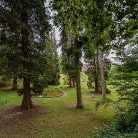 В парке... :: Николай Гирш