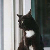 Наблюдатель :: Мария Шабурникова