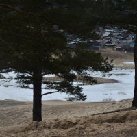 *** :: Наталья Покацкая