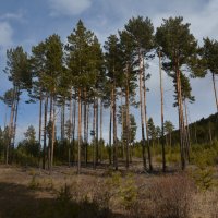 *** :: Наталья Покацкая