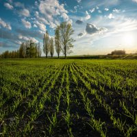 Весна :: Фёдор. Лашков