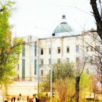 здание :: Аллка Мос 