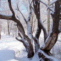 - :: Владимир Мигонькин