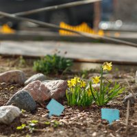 Минолта 100/2 :: Иваннович .