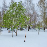 19 Апреля 2017 года город Белгород ... :: Ravile 