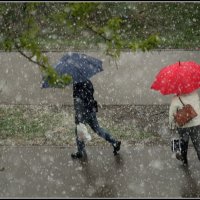 Зима вернулась :: Aleksandr Gal