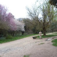 Мальчик с собачкой :: Валентин Семчишин