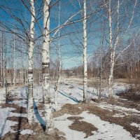 Фотография :: Денис Безногов