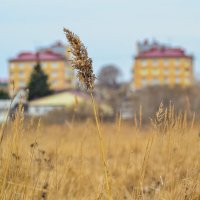 Я гуляю по апрелю.. :: Михаил К