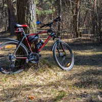 На велосипеде на природу :: Александр Синдерёв