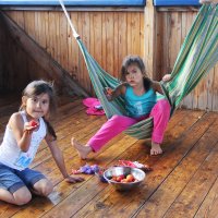 Абрикосики :: СЮ 