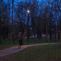 Весенний Вечер :: юрий поляков