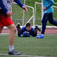 Куда-то все бегут. :: Наталья Вязигина