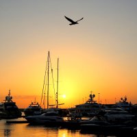 В порту :: Валерий 