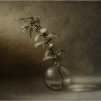 "Веточка"... :: Oleg Rastorguev