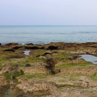 Отлив... :: Галина Ильясова