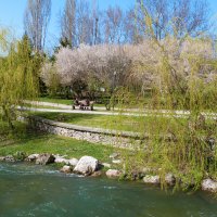 Пейзажи  Гагаринского парка :: Валентин Семчишин