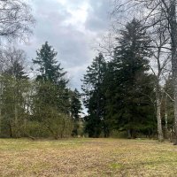 *** :: Андрей Л. В.