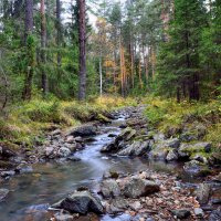 Лесная речка :: Vladimbormotov 