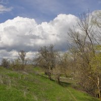 **** :: Виктор 