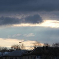 Травка зеленеет, солнышко блестит ... :: Елена Минина