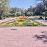 Almaty. :: Murat Bukaev 