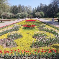 Almaty. :: Murat Bukaev 