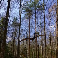 Динопарк в лесу, Ингольштадт, Германия :: Галина 