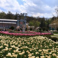 цветник :: Игорь Kуленко